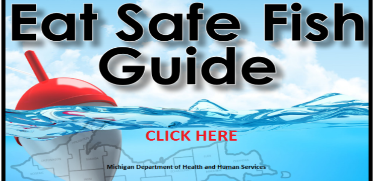 https://bhsj.org/uploads/resource/attachment/1965/MDCH_EAT_SAFE_FISH_GUIDE_-_SOUTHWEST_MI_WEB.pdf